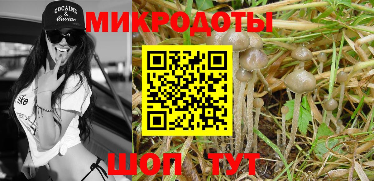 Галлюциногенные грибы MAGIC MUSHROOMS Лиски