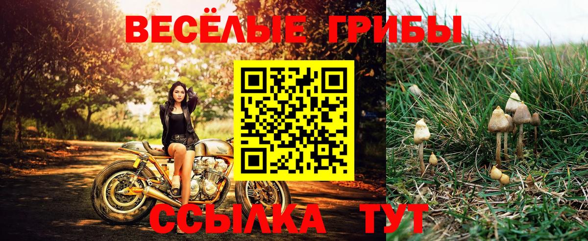 Галлюциногенные грибы Magic Shrooms  Лиски 